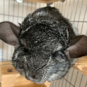 Welcome to my closet 😊😊😊